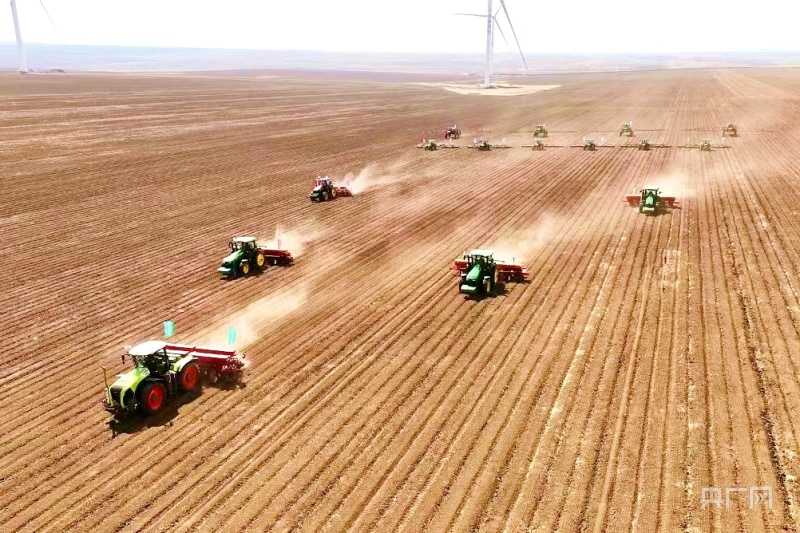 呼伦贝尔今年计划大豆种植面积1330万亩