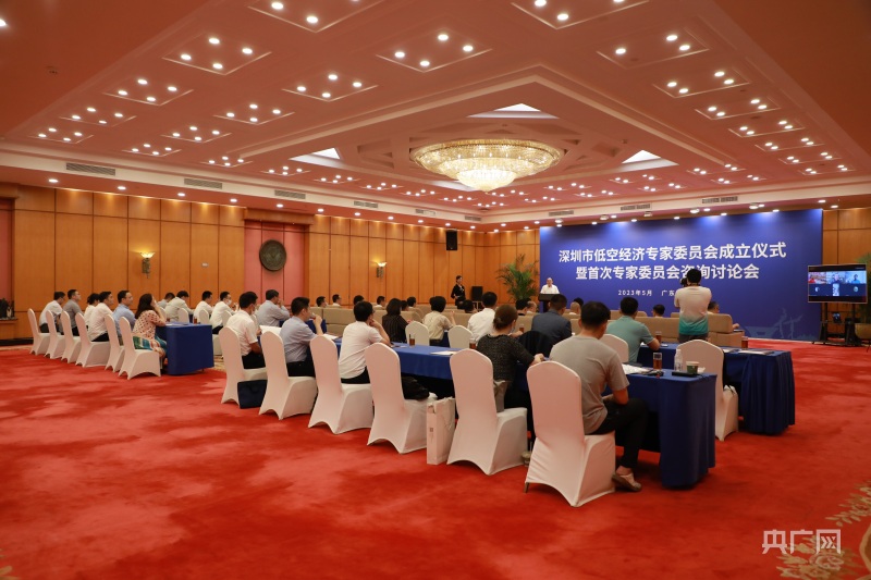 深圳成立低空经济专家委员会
