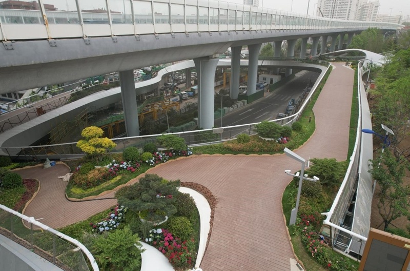 青岛：过街天桥遇见“空中花园”