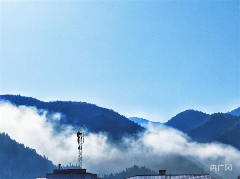 南阳市淅川县：夏日乡村 迷人风光美如画_央广网