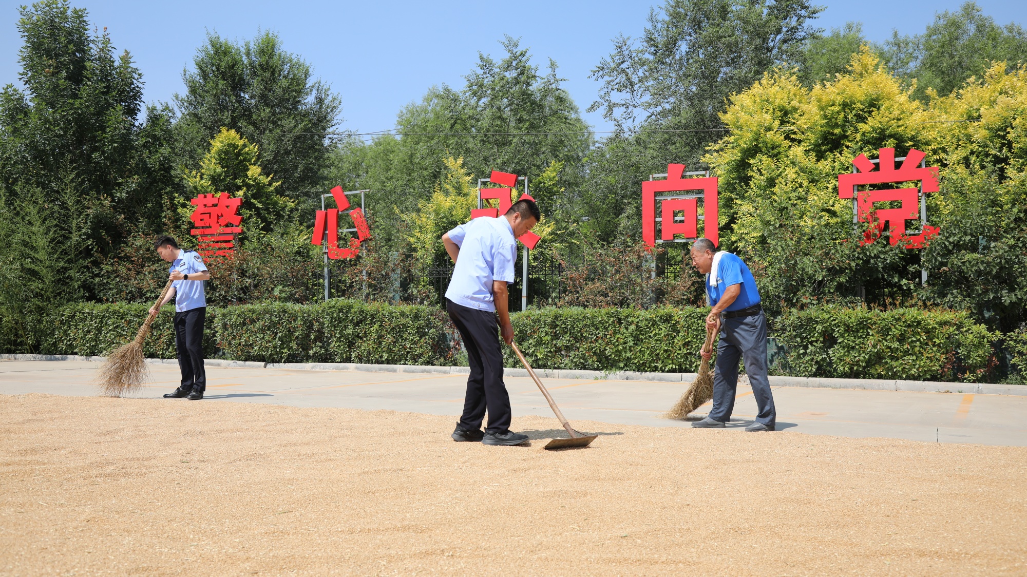 德州：派出所“变身”晒粮场