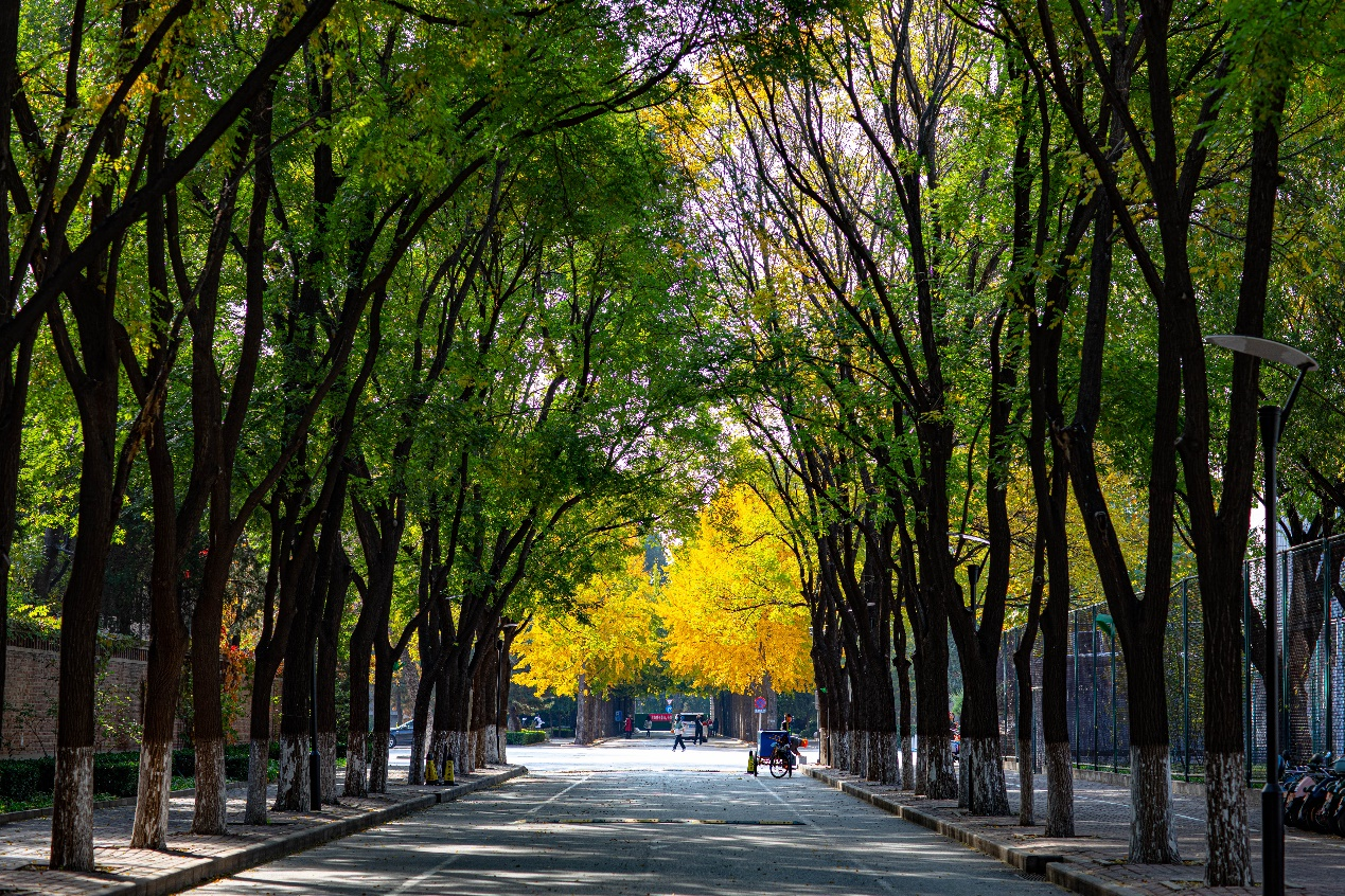 北京林业大学：因林而生、因林而兴、因林而强、因生态文明建设而盛
