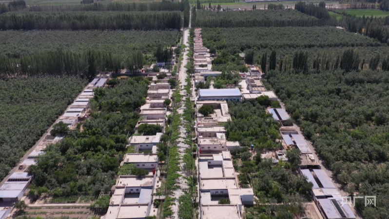 阿克苏：“美丽庭院”扮靓宜居乡村