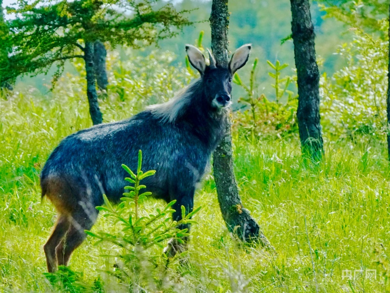 a73396de7f0aa168777313420491463111.jpg?auth=7077b34e70bb1189b61ba7ea0c38fd38