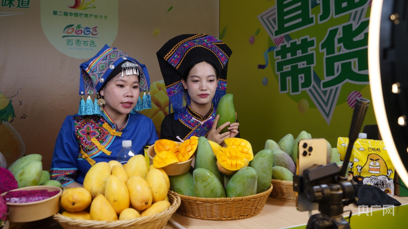 澳门新葡澳京官网闻见·水果香丨芒乡很忙！中国芒果交易中心高峰期日发货量50万件(图3)