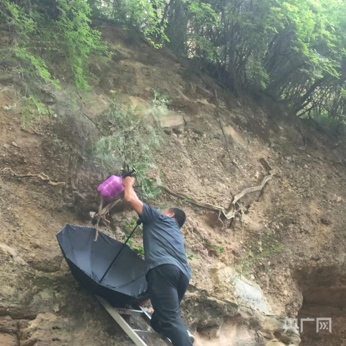 甘肃崇信：当好“森林医生”  守护绿水青山