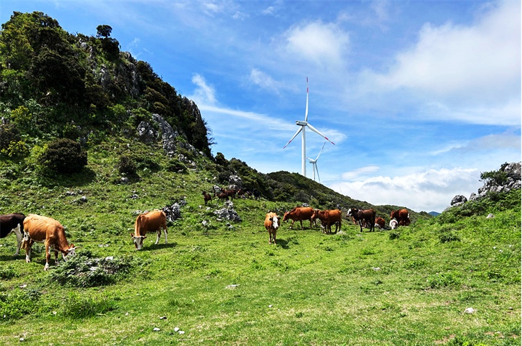 来大理宾川乌龙坝邂逅一场山野烂漫