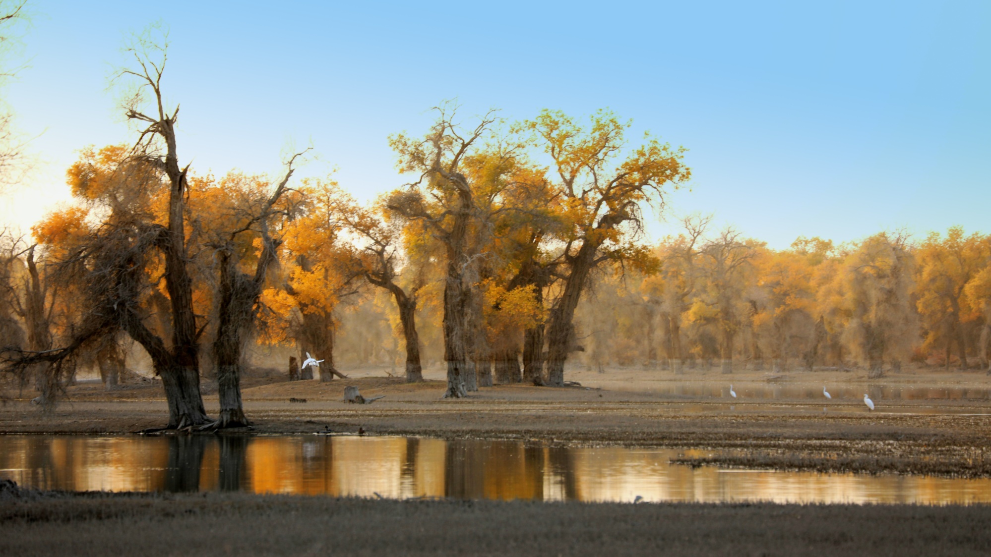 展现的是花木繁茂,郁郁葱葱,整洁靓丽的公园美景,已成为轮台县各族