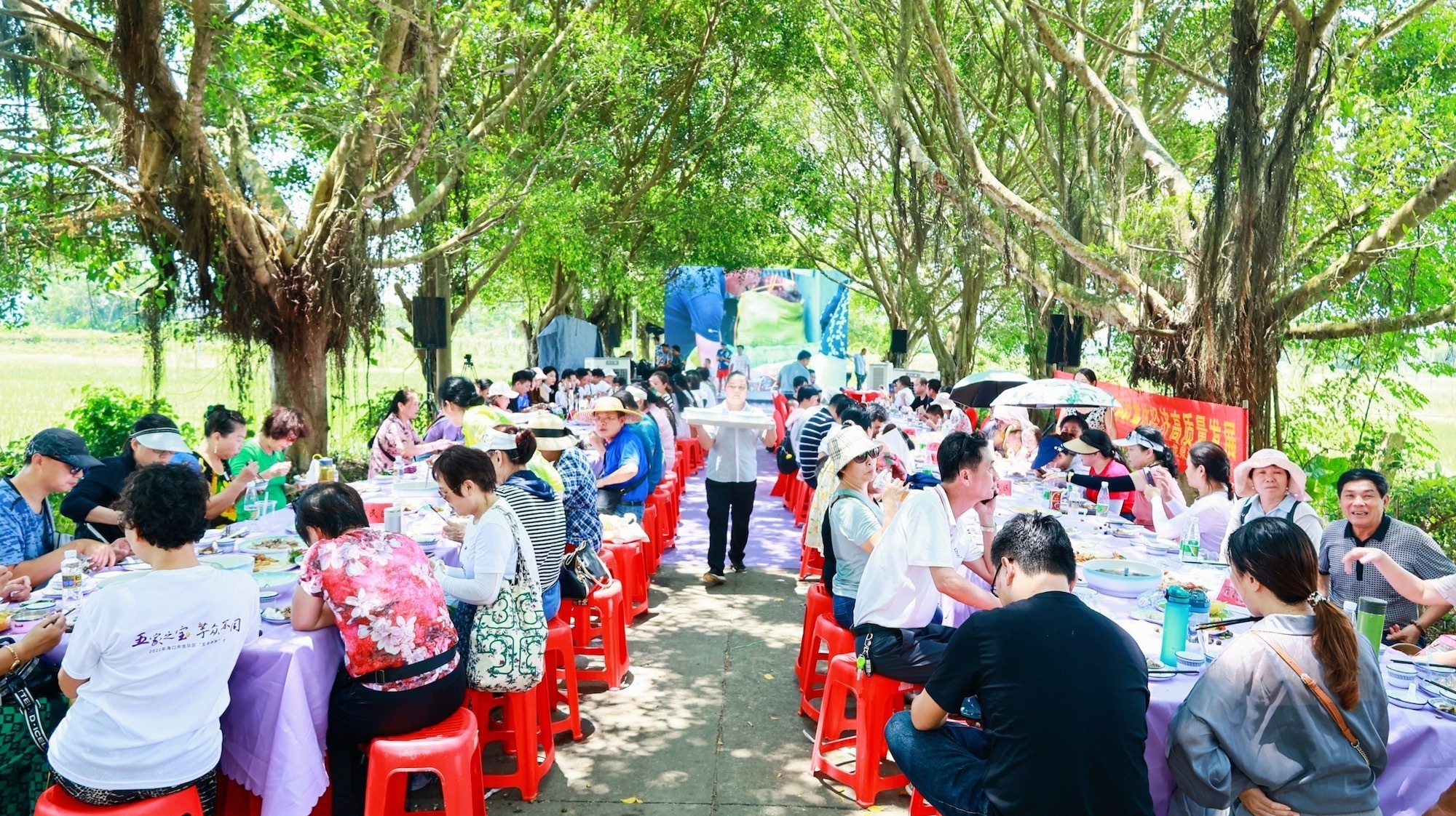 海口市龙华区将举办五丰香芋推介会