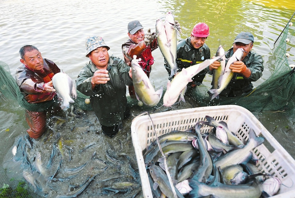 捕獲222磅重鯰魚後放生垂釣者分享驚心動魄經歷｜大紀元時報香港｜獨立敢言的良心媒體