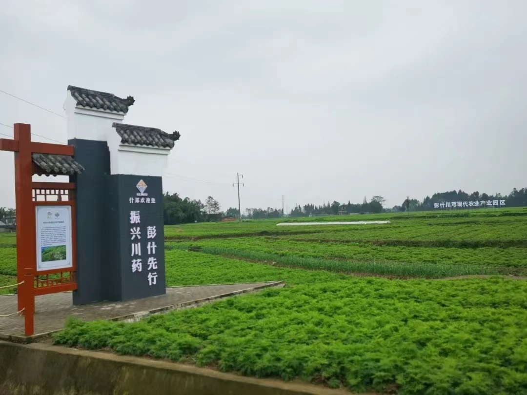 “时代光影 百部川扬”进基层 德阳什邡：推动农业现代化发展 带动农民开云真人 开云真人场馆增收致富(图1)