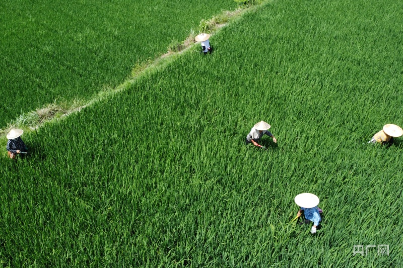 实时探秘新绛县天气”，感受四季变换的艺术