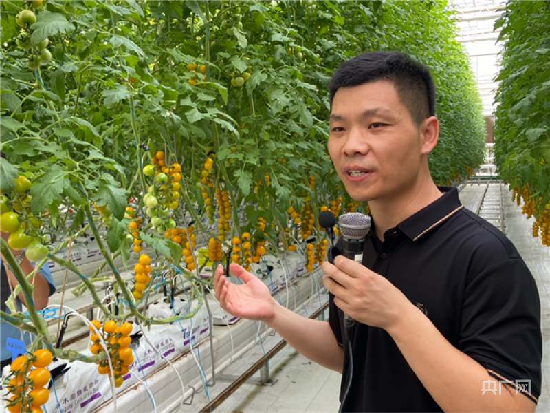 河南新乡：科技赋能农业走出高质量发展新路径