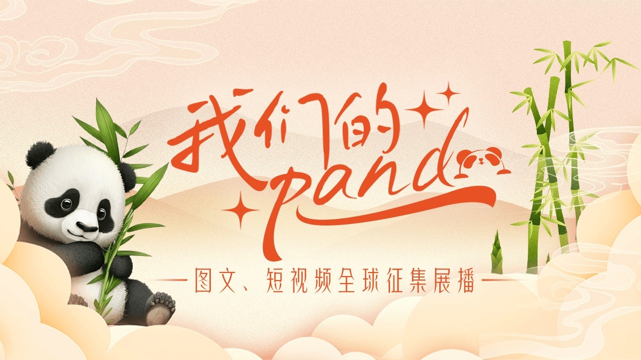 “我们的panda”成团召集令！
