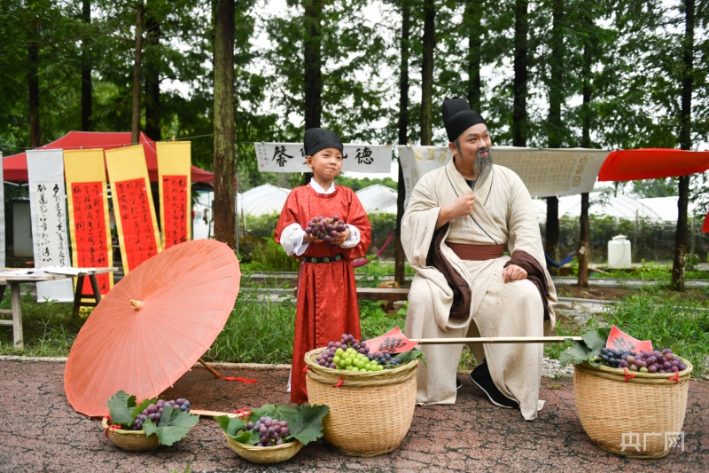 第二十一届“绿色大圩”葡萄文化旅游节开幕