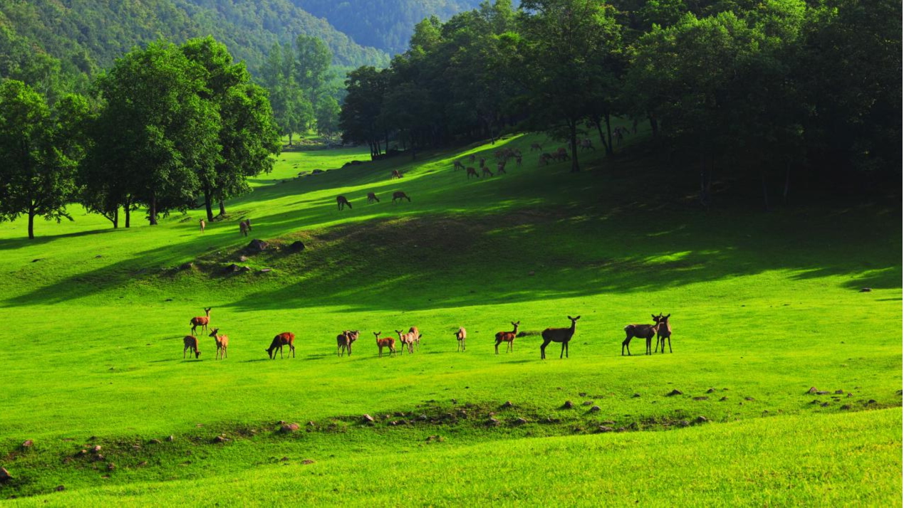 黑龙江省生态康养旅游大会8月1日在伊春举行