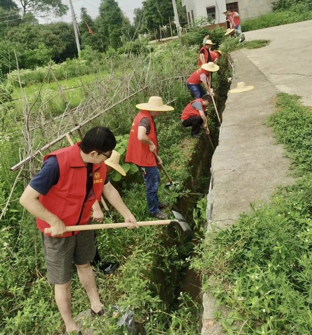 双峰：抗旱保粮正当时