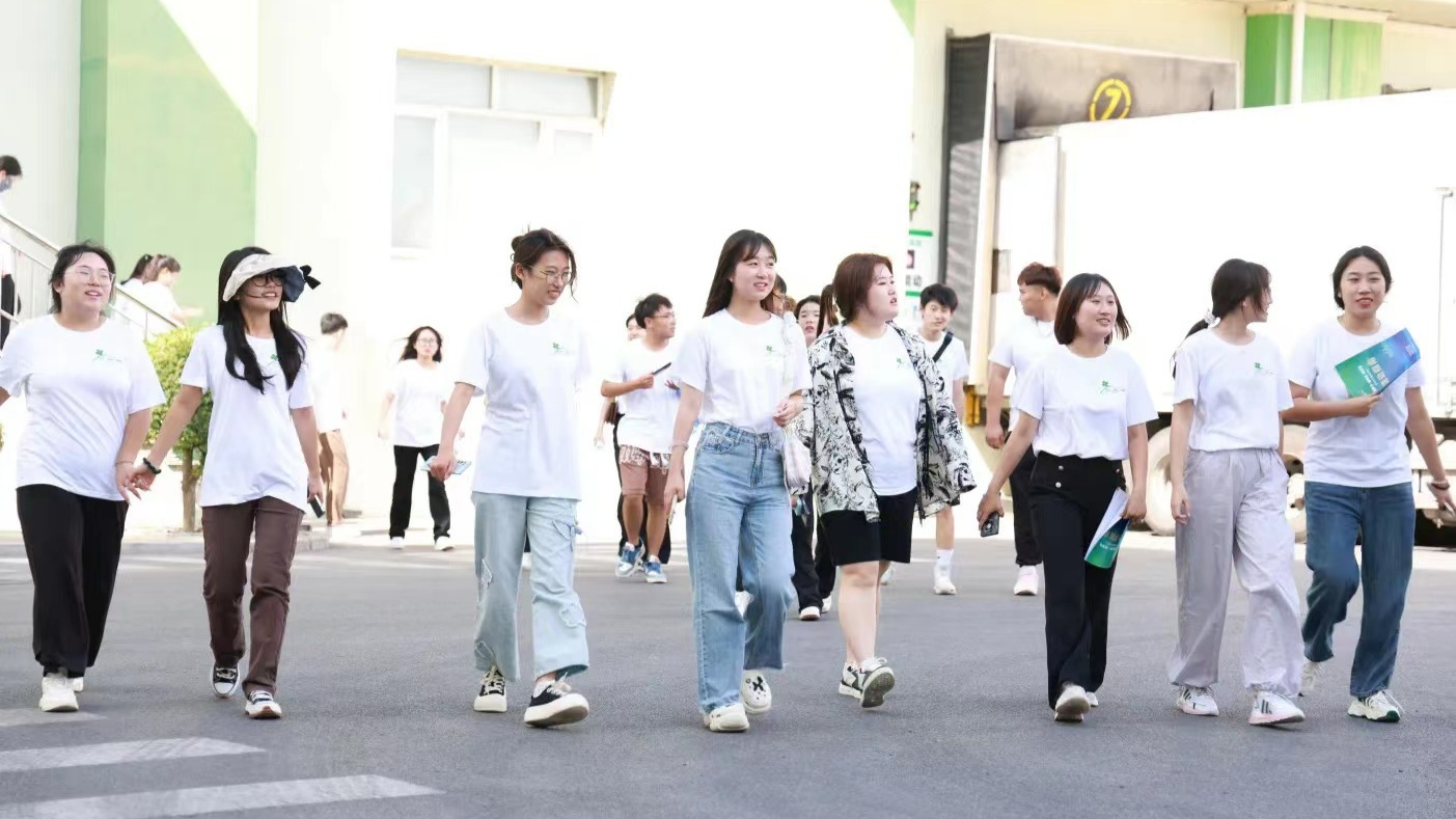 台安举行青年暑期行活动