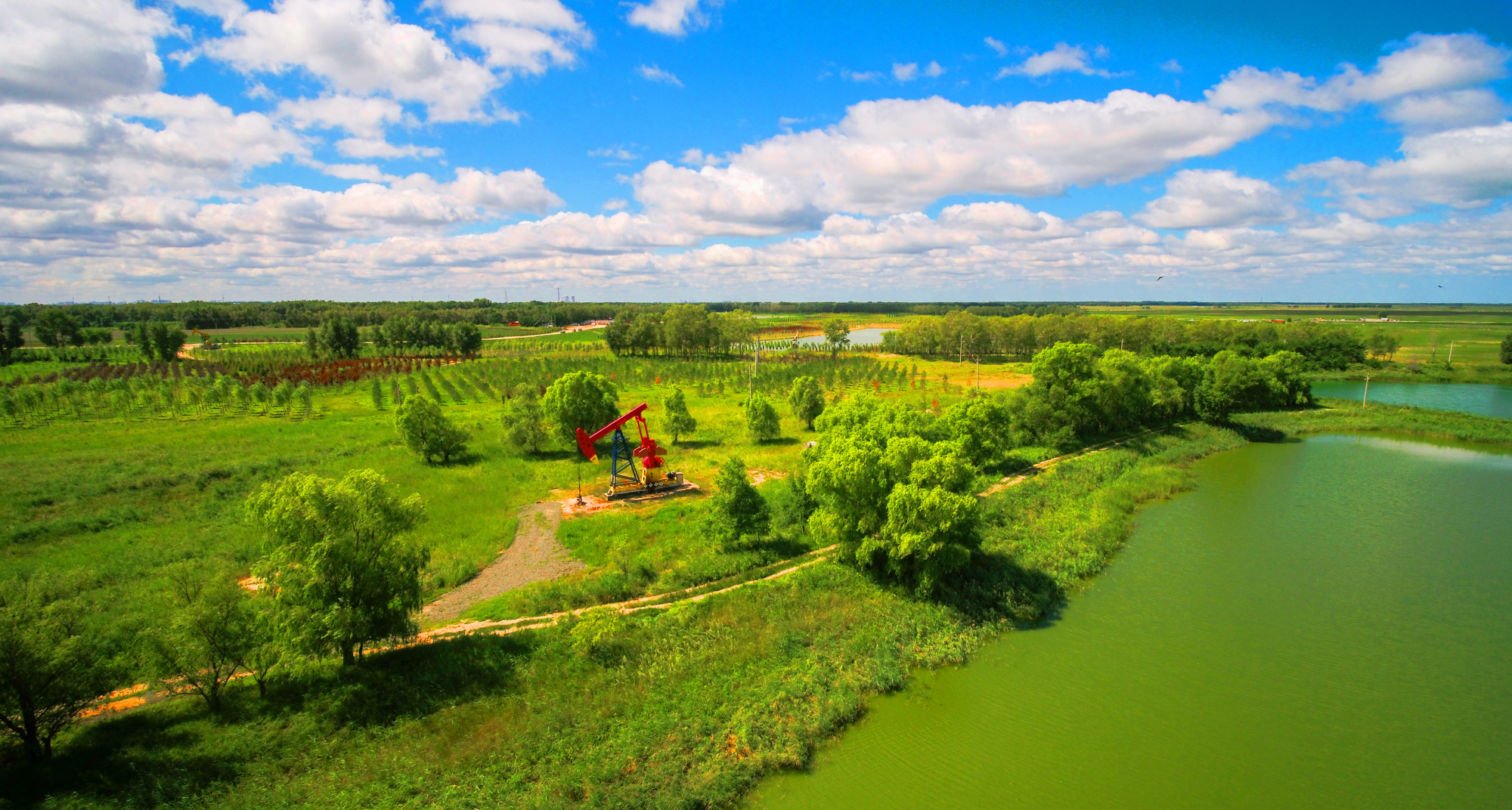 【和谐共生·美丽中国】大庆油田:追青逐绿 向美而行_央广网