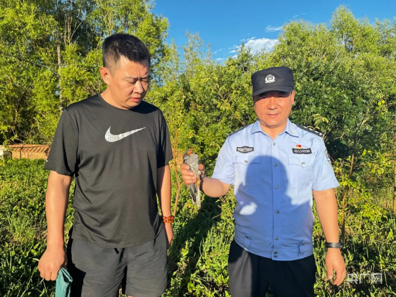 内蒙古警民携手救助“猛禽”幼崽