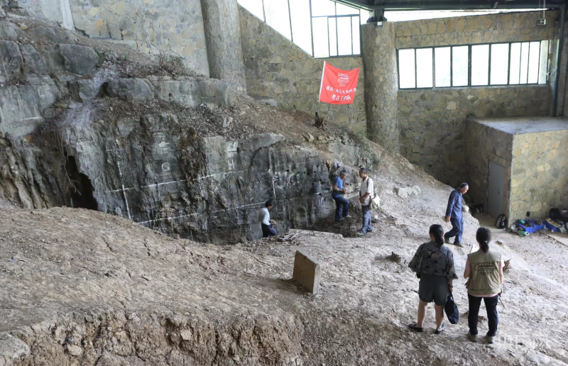 巫山龙骨坡遗址启动第5次考古发掘