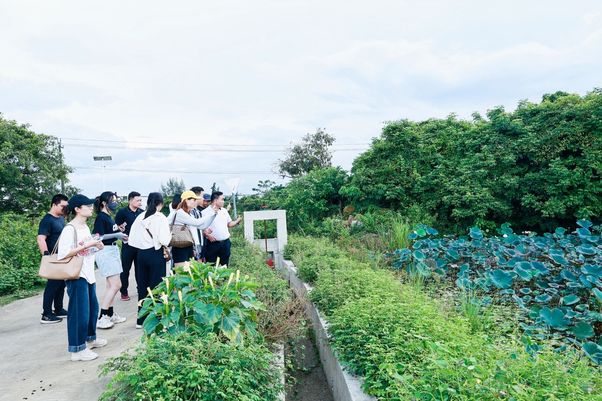 PG电子网站 PG电子海口市龙华区龙泉镇举行特色农产品媒体采风活动(图5)