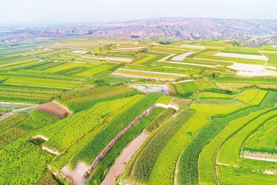 山西省稷山县图片