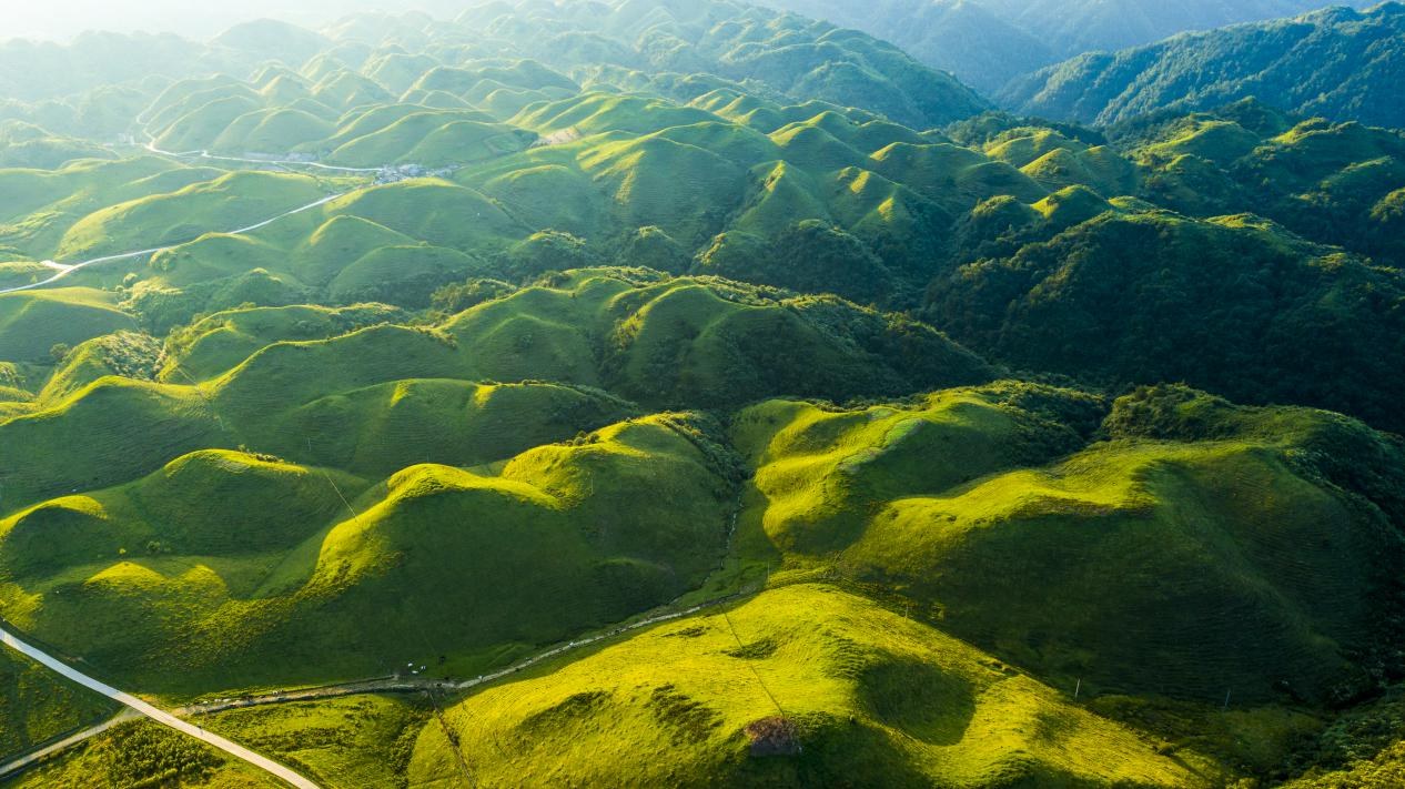 湖南：“红色草原”传红守绿 红绿相映