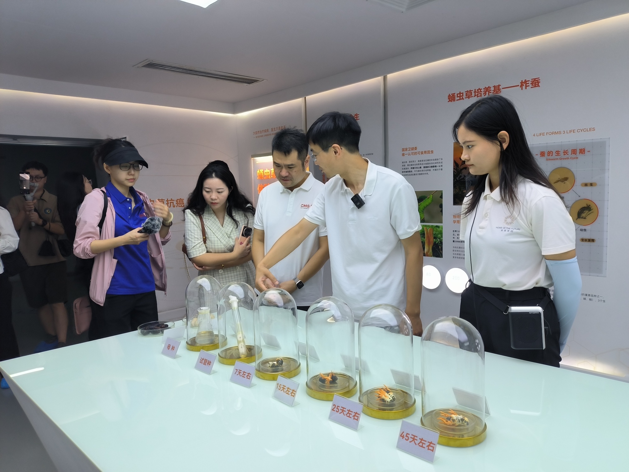 开云APP 开云官网入口共同富裕中国行·走进江夏 三产融合 未来家园蹚出乡村产业振兴新路径(图2)