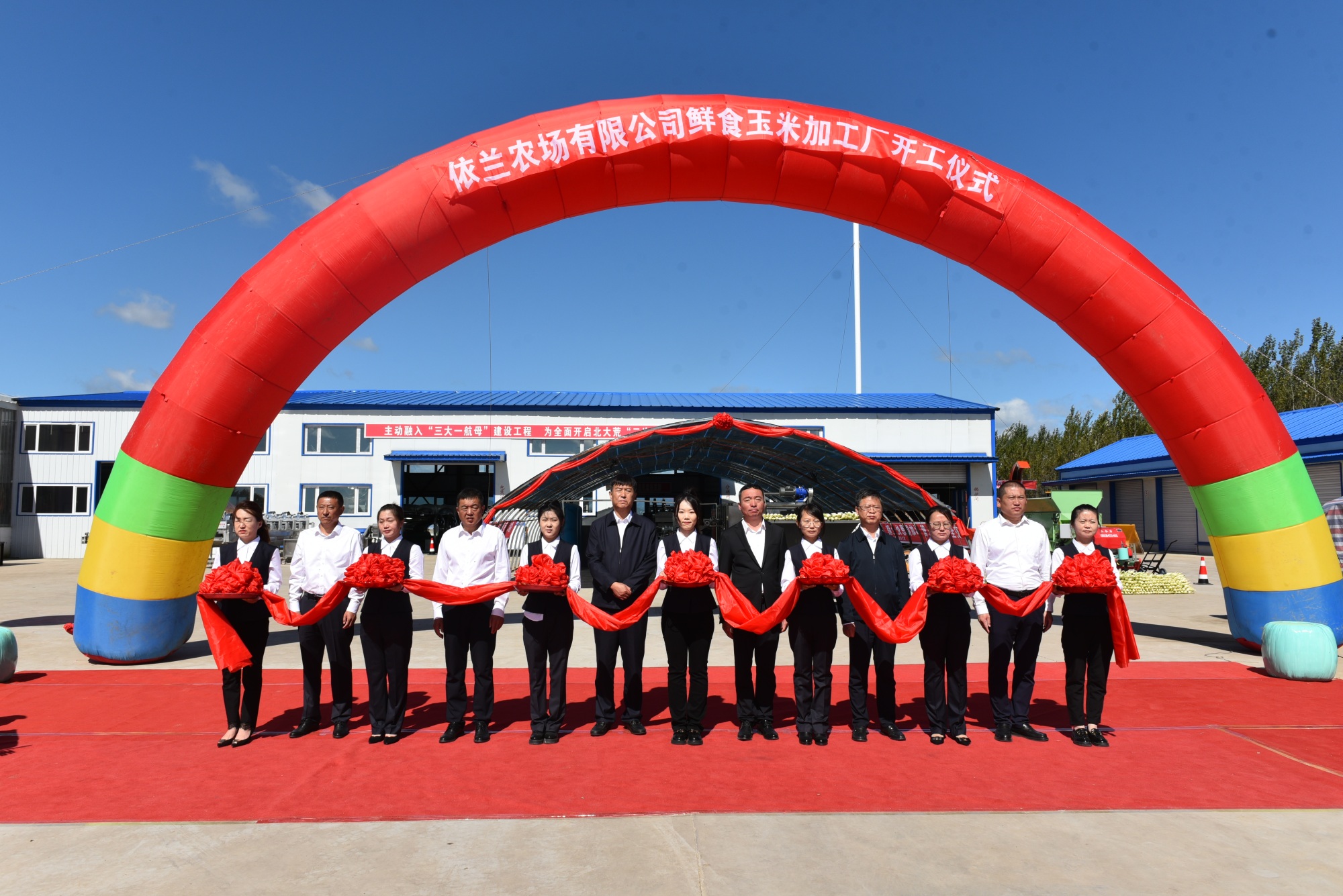 依兰农场有限公司做实党建链带动鲜食玉米产业链