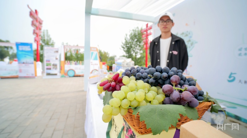 北京市开云真人休闲农业“十百千万”畅动推介活动举办 41条市级秋季休闲农业精品线路发布(图4)