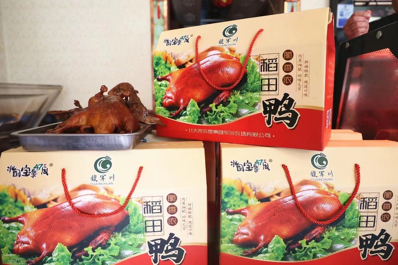 军川农场有限公司鸭稻共育稻香鸭肥生态美