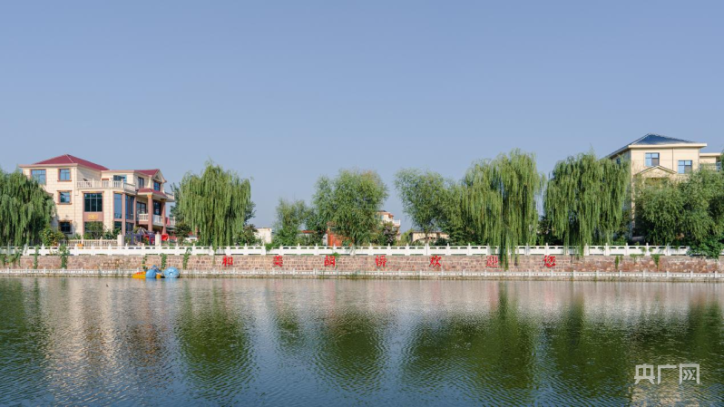 创五星 促发展丨漯河市泛亚电竞临颍县胡桥村：从苗木种植到文旅融合 乡村的多元发展之路(图2)