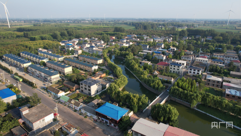 创五星 促发展丨漯河市泛亚电竞临颍县胡桥村：从苗木种植到文旅融合 乡村的多元发展之路(图1)