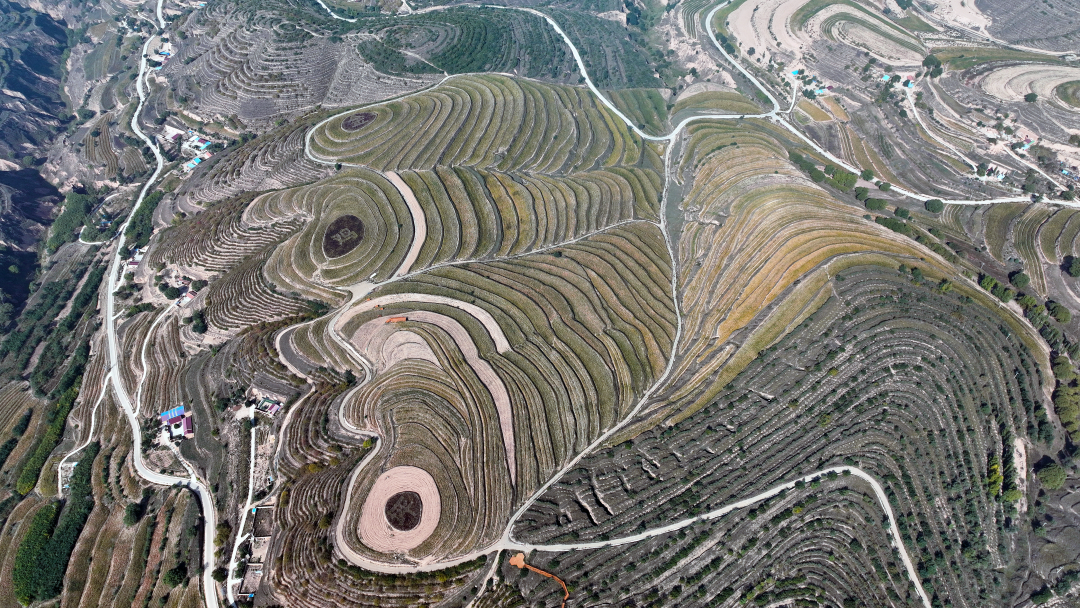 近日,宁夏固原市彭阳县数十万亩旱作梯田在曙光中迎来云海景观,不断"