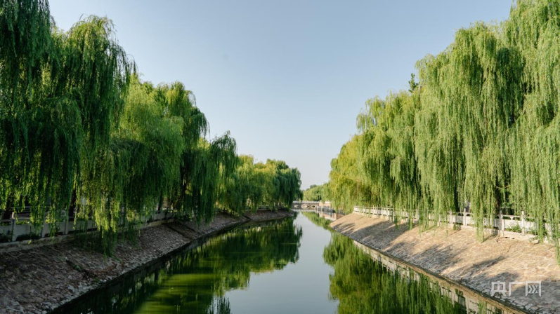 创五星 促发展丨漯河市泛亚电竞临颍县胡桥村：从苗木种植到文旅融合 乡村的多元发展之路(图3)