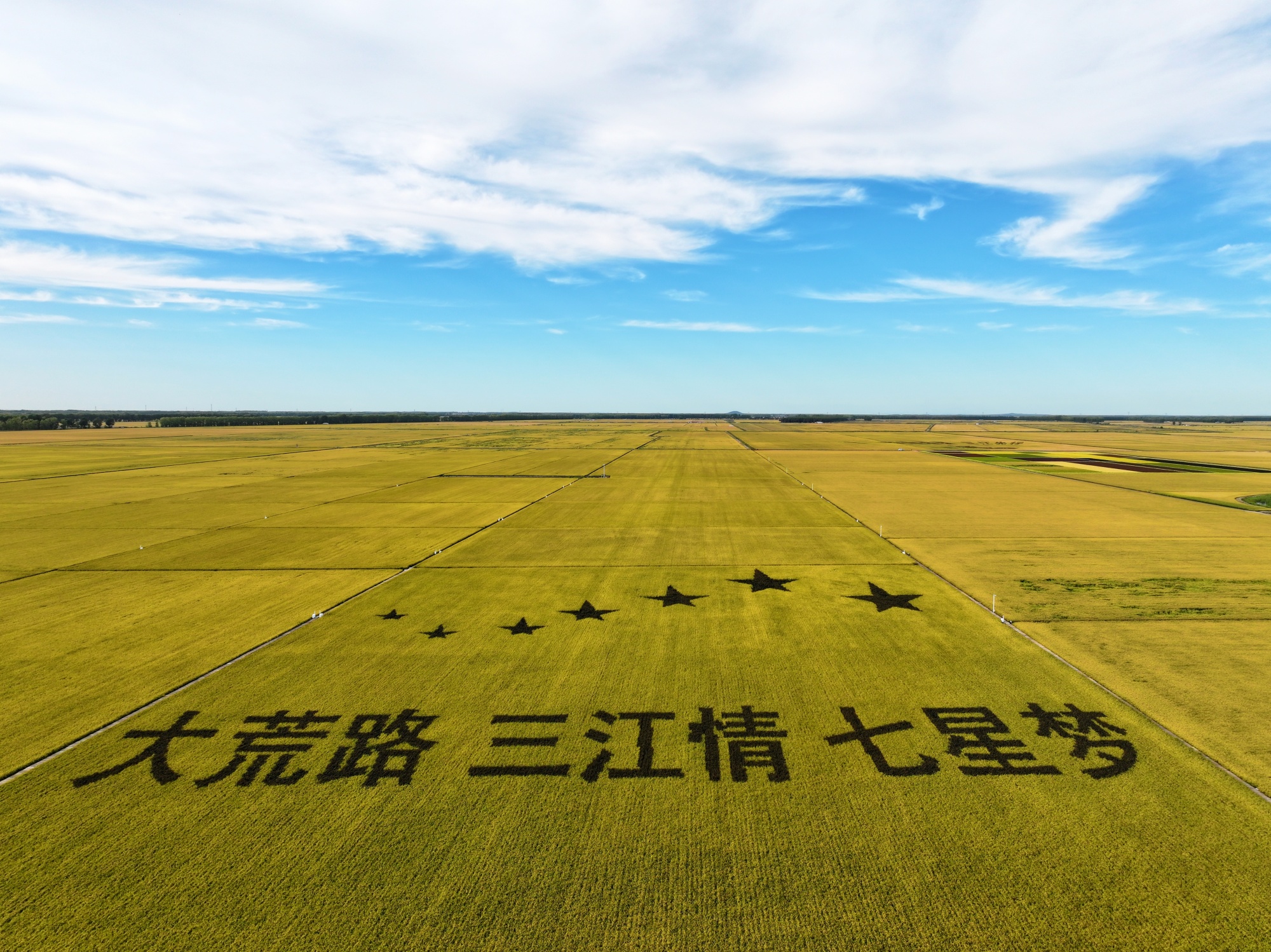 北大荒农业股份七星分公司实施藏粮于地战略勇担粮食安全压舱石重任