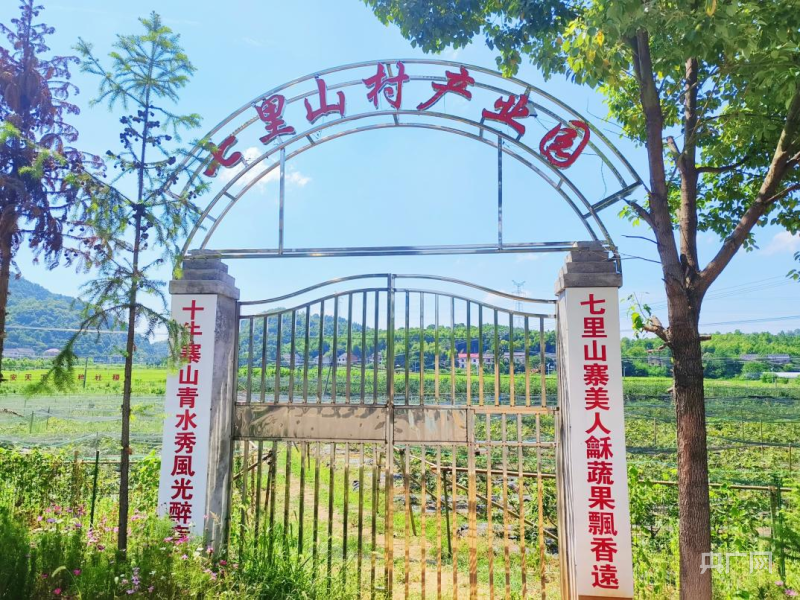 开云 开云体育官网和美“湘”村衡阳雨母山：奏响农旅融合致富曲(图3)