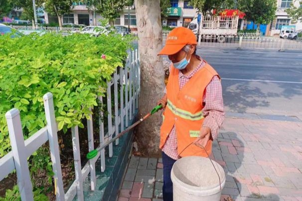 石家庄晋州：秋季“梳妆”好时节 绿化修剪不停歇泛亚电竞(图3)