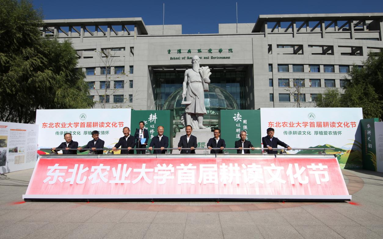 后勤处幼儿园分别带来了民乐合奏《盛世国乐》,舞蹈《庆丰收》等热场