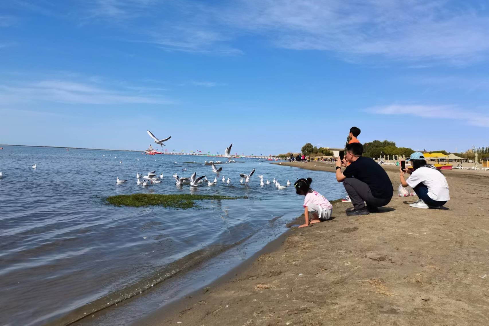 新疆和硕县金沙滩景区迎来旅游热潮