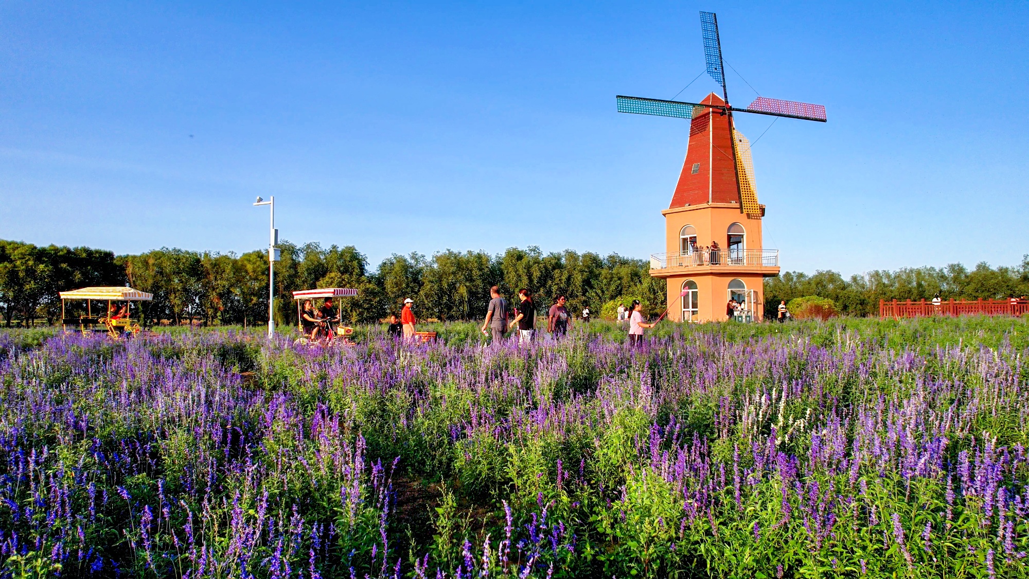依托千年药都厚重的文化底蕴,安国市于2016年建成现代中药农业园区