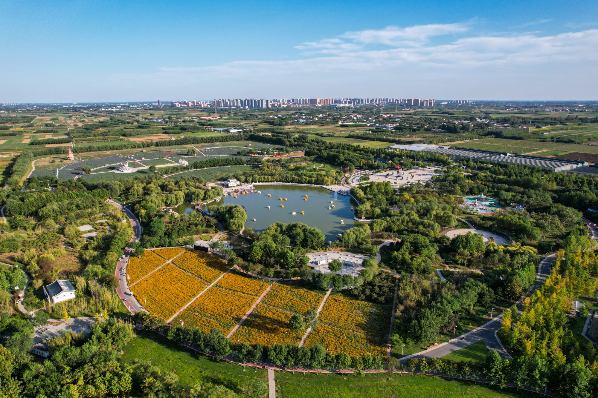 河北安国现代中药农业园美景如画(央广网记者  王艺霖  摄)依托千年