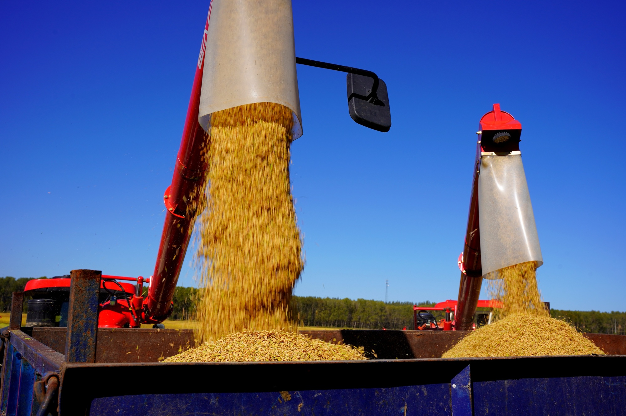 粮仓好"丰"景|黑龙江省秋收生产进入收尾阶段_央广网