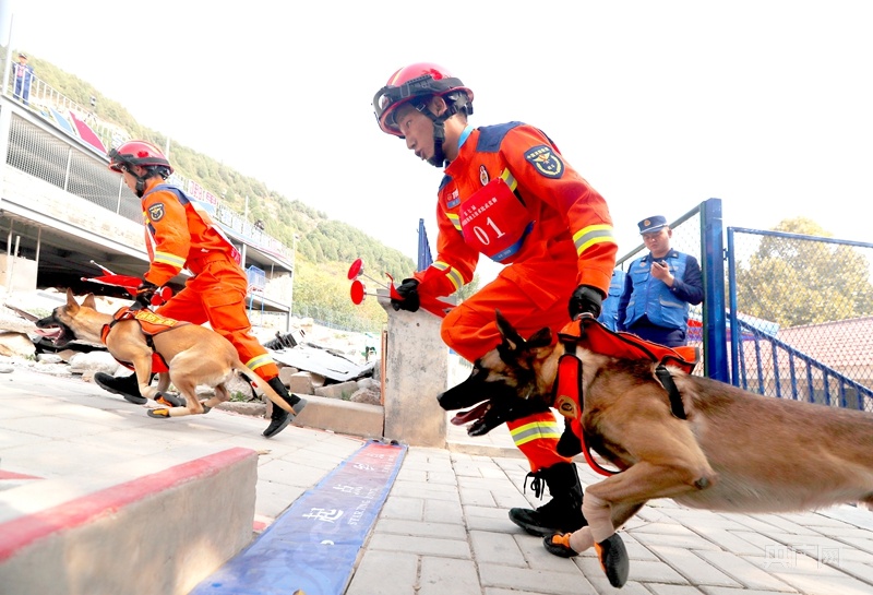 第七届全国消防搜救犬技术比武竞赛在济南落幕