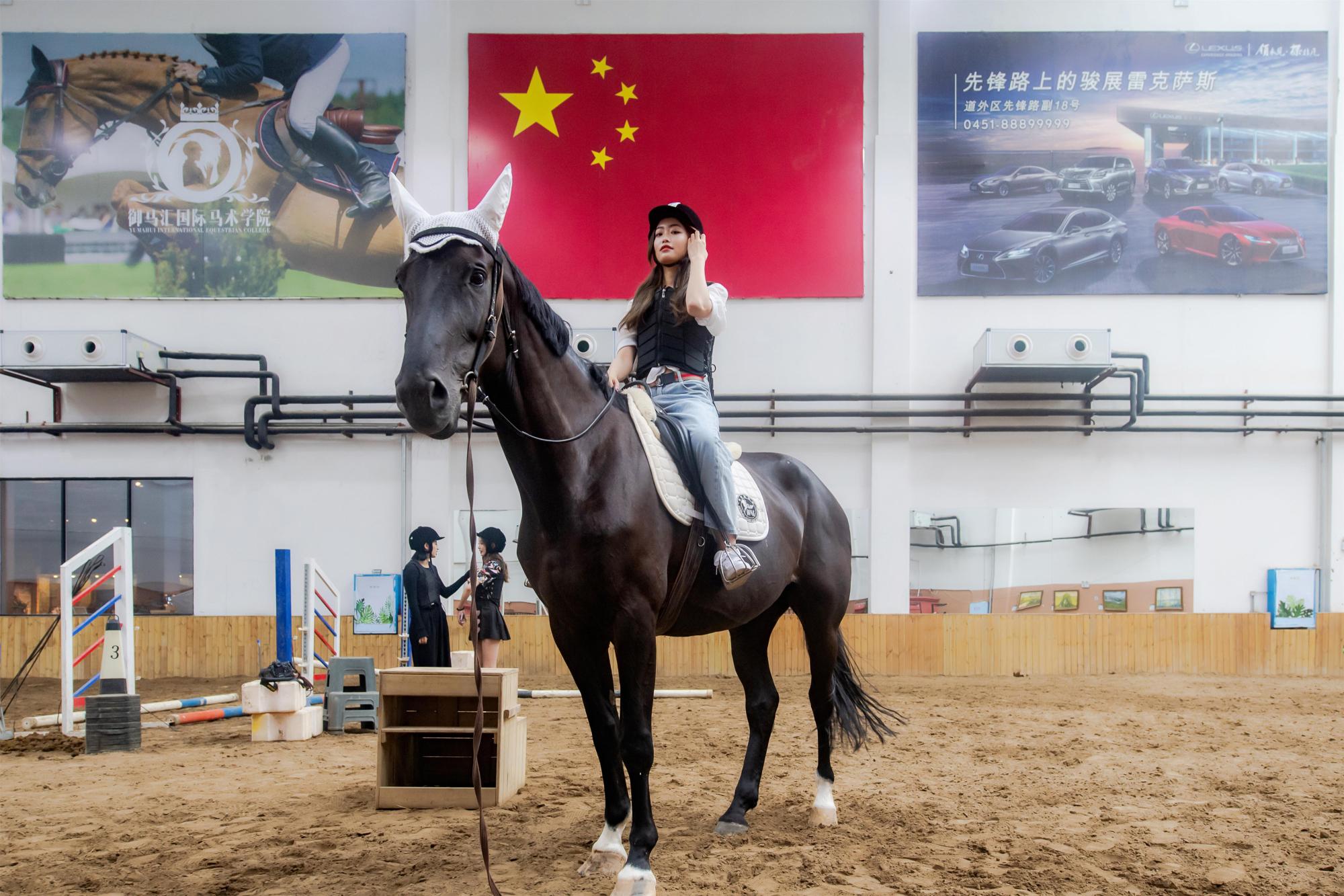 哈尔滨世界欢乐城御马汇马术学院不出远门成就你的骑士精神