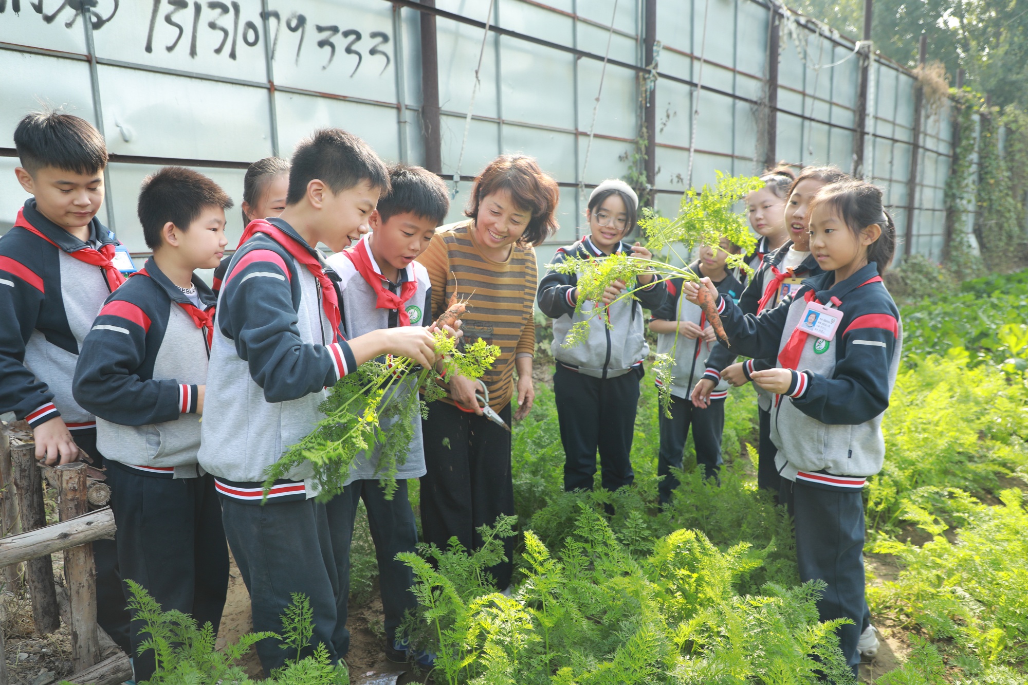 河北高碑店劳动实践课让学生劳有所获