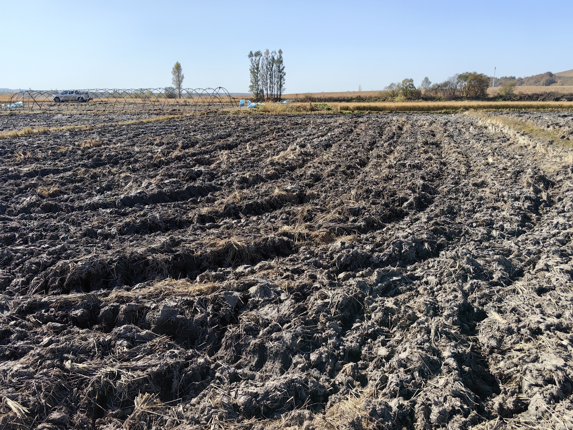 黑龙江推动秋冬季农作物秸秆还田离田作业进度