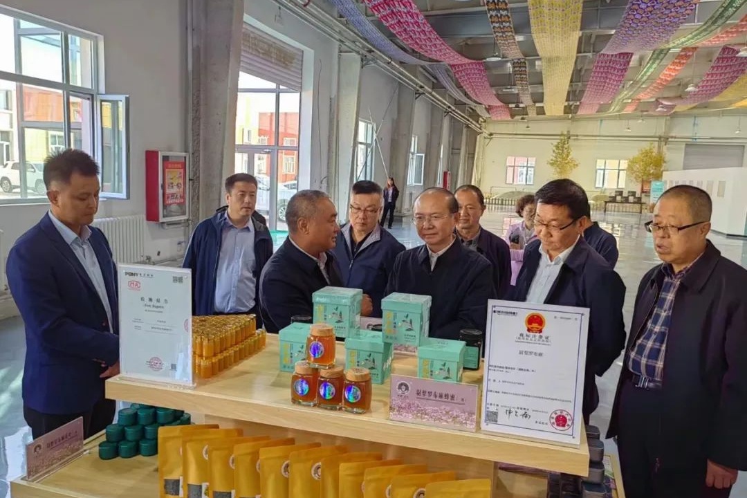 国家知识产权保护工作考核组赴尉犁检查考核米乐 M6米乐(图1)