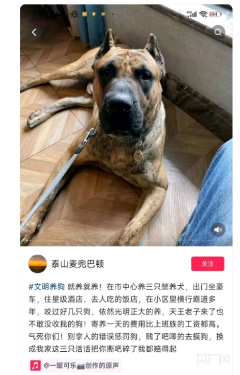 网友自曝养三条禁养烈犬挑衅公众后警方未公开回应